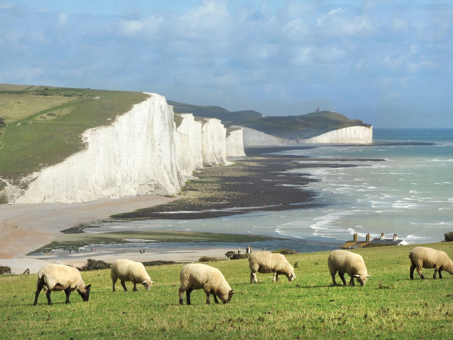 East Sussex coast